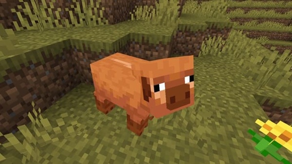 minecraft-patched-apk untuk-android